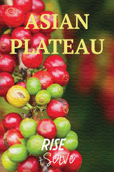 Asian Plateau Blend