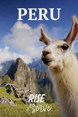 Peru Medium Roast Coffee