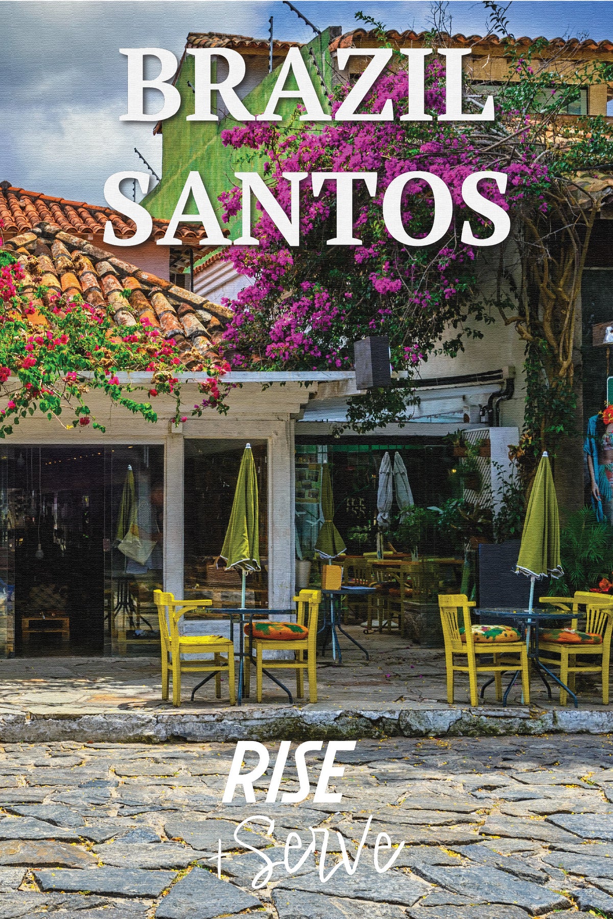 Brazil Santos Medium Roast Coffee