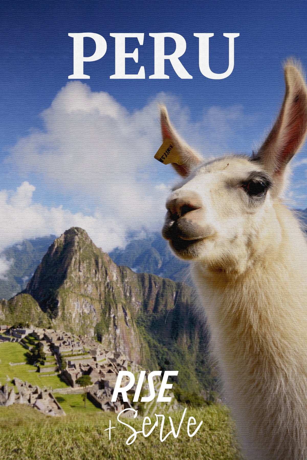 Peru Medium Roast Coffee