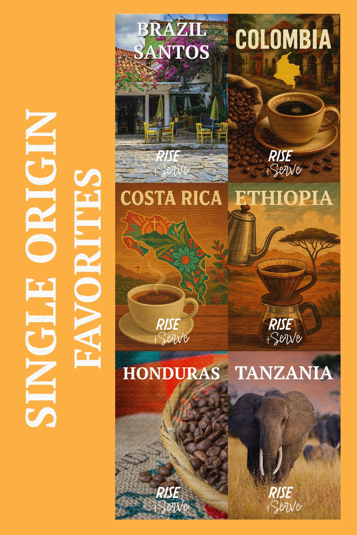 Single Origin Favorites Sample Pack